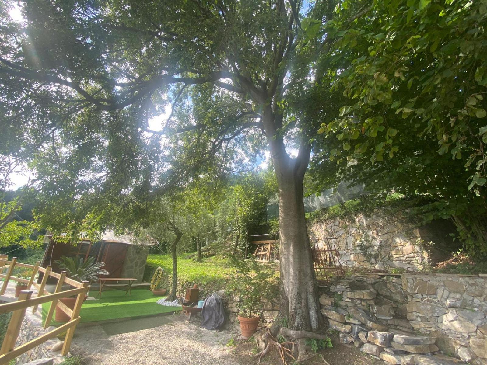 Apartamento La Sosta Al Bagolaro Rapallo Exterior foto