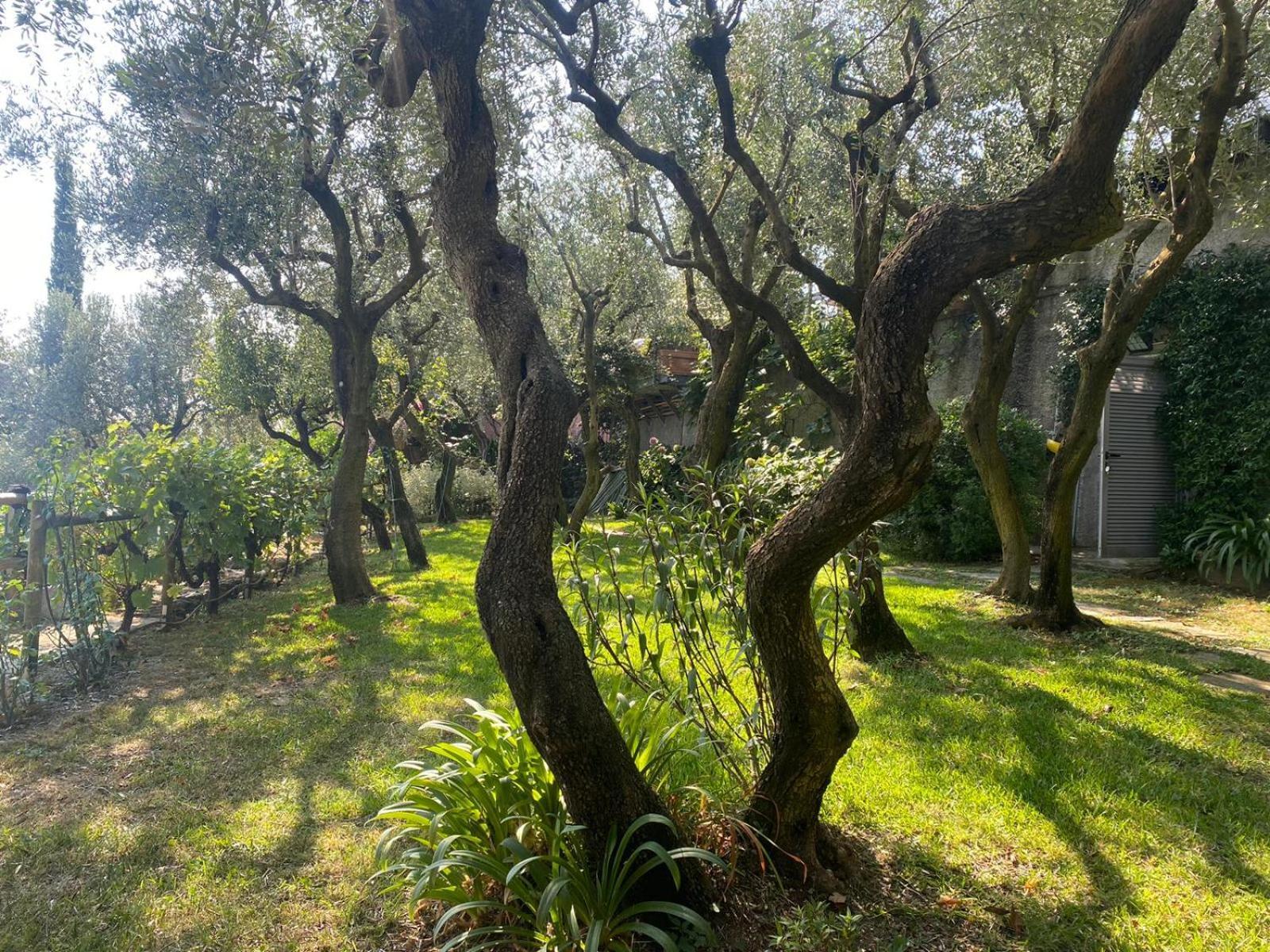 Apartamento La Sosta Al Bagolaro Rapallo Exterior foto